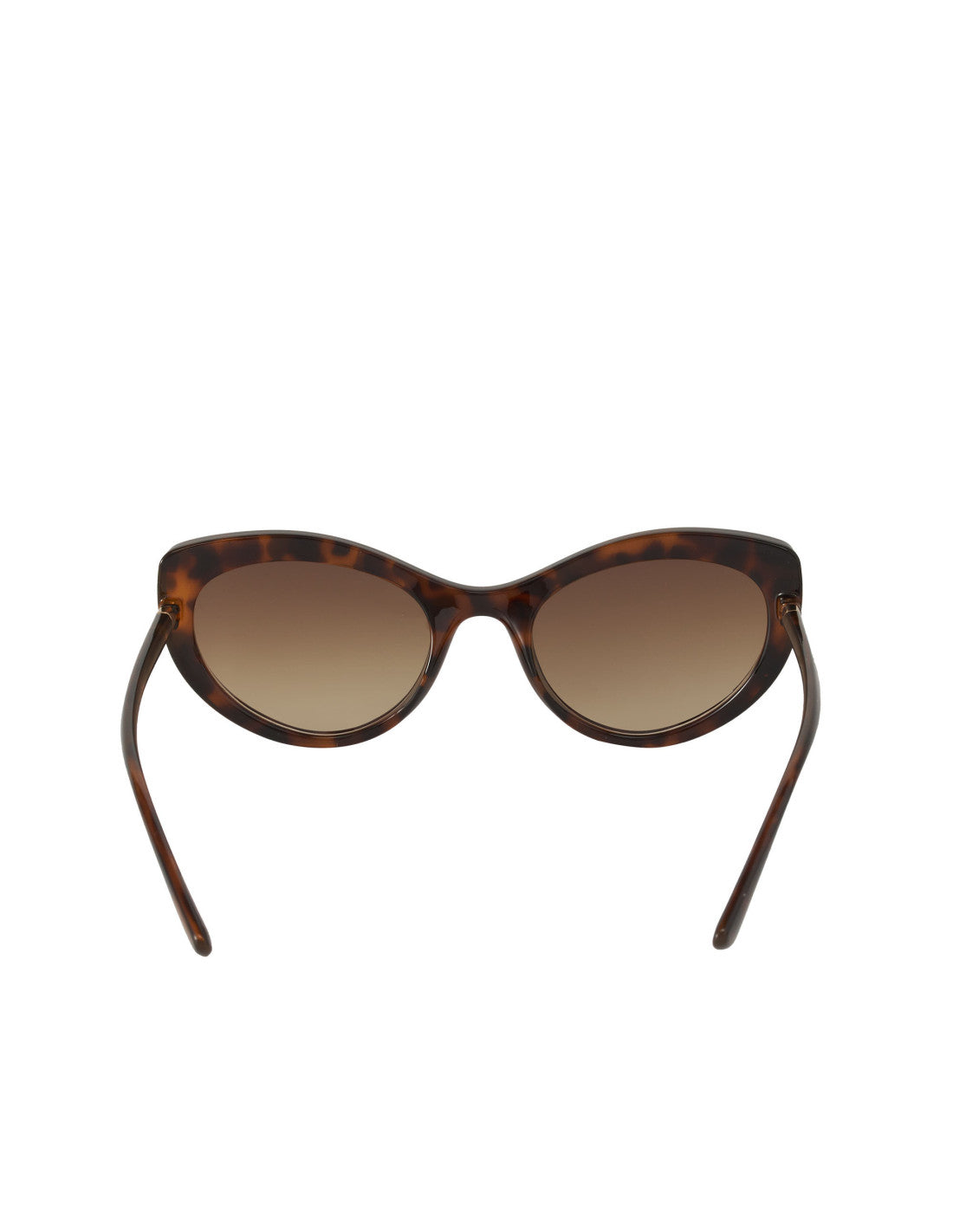 Dolce & Gabbana DG6124 502/13 Eye Cat Carey Cafe Dorado – vista 10